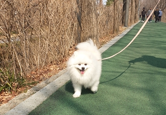 아라(만두)와 3년후기