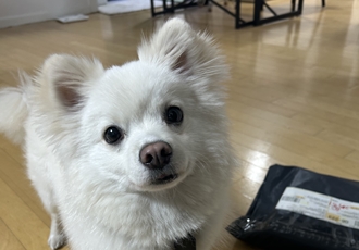 유비 임시보호 한달차