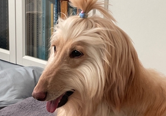 3개월 차 라나는요