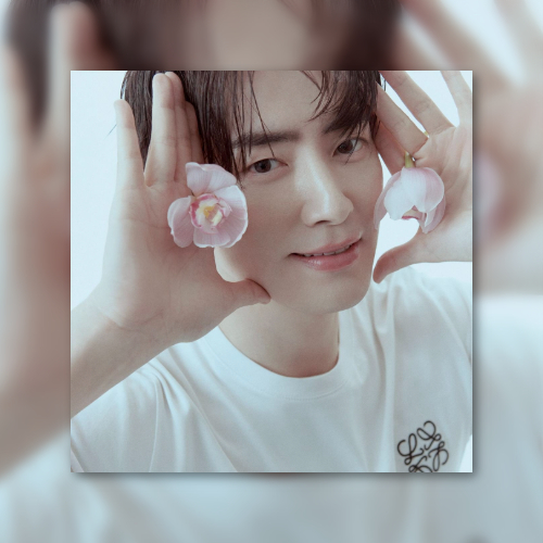 배우 이준혁 팬분의 후원