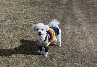 콩이 4년후기 (곤지암 하일이)