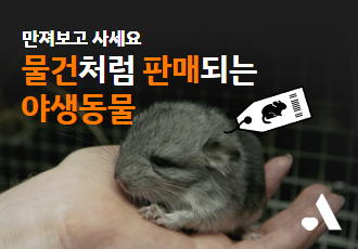 “만져보고 사세요” 물건처럼 판매되는 야생동물