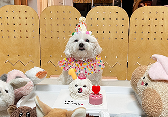 임뽀또(하즈) 1년 후 소식전해드려요~~☺️