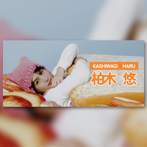 柏木悠(카시와기 하루) 팬분의 후원