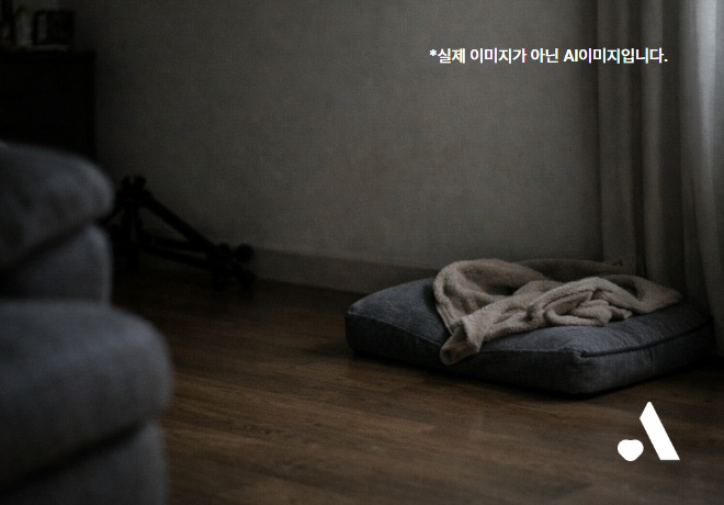 [동물 학대] 부산, 동거인으로부터 학대당해 왼쪽 안구가 실명된 반려견