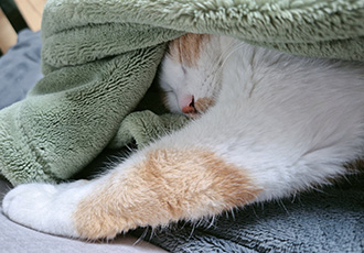 옥희(몰랑이)복희(동백이) 5년째