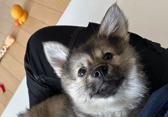 후추(대복이) 한달차입니당 😋