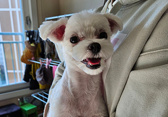 민성(구.유성) 1년 후기