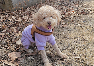 랑이(곤지암 해사) 4년차 후기입니다.