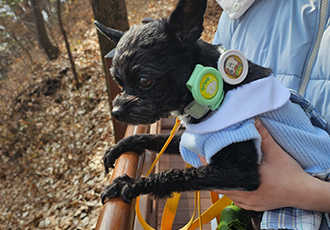 아라(푸푸아가 뽀이) 소식전해요♡