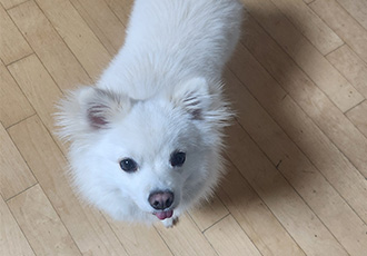 유비 임시보호 2달차