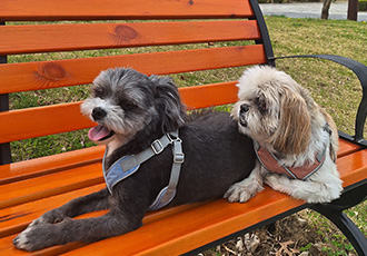 승이(탱숙)와 깡이(타타)