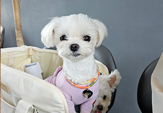 마리, 우리와 1년♡