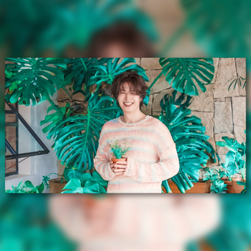 손호영 팬분의 후원