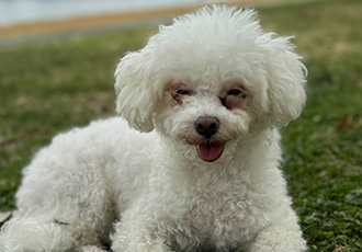 캔디 (마요)예요!!!