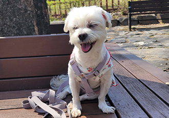 예쁜 삼숙이 근황💛🫶🏻