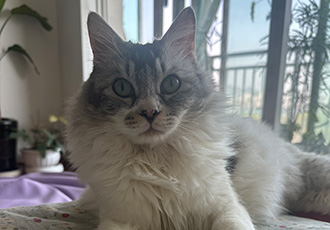 율무(수미) 입양 후 1년 