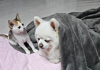 햇살 1년 후기 올립니다