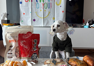 찹쌀이 (구 단발이) 1주년 일기