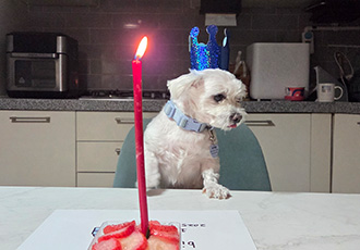 벌써일년..티코예요~♡