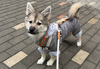 후추(대복이) 두달째 🤭