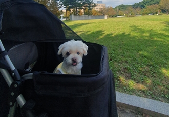 빈이 5년차 이야기