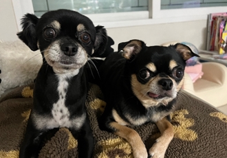 안녕하세요! 깜뭉이네입니다:)