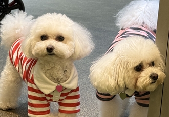 두리하고 행복한 5년의 생활입니다.