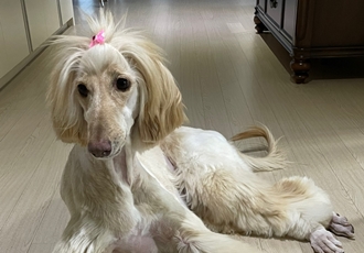 라나 생애 첫 미용!