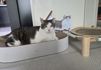 아띠의 4주년 입니다~!!^^