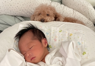 곤지암 헤이즐 입양 4주년 후기 입니다~