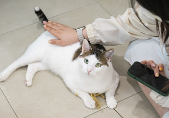 사랑하는 가족들, 보고 싶었어요!🐈 <온캣에 온가족> 후기