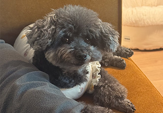 후추(엔쵸)와 함께한 일상