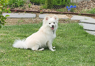 유비 임시보호 3개월차