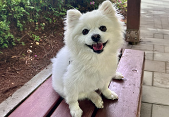 오쥬 입양 3개월차 후기입니다!