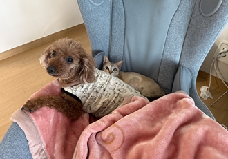 또봉이(이요) 일주일차 적응기