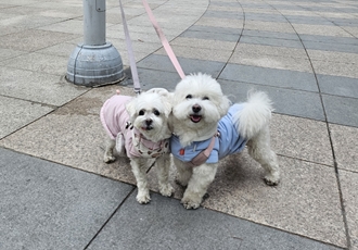 바로와 1년 그 후