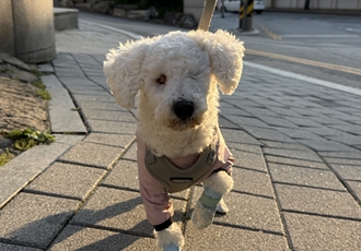 윤랑이의 일상(곤지암_쟈스민)