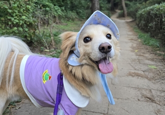 자몽이와 함께한지 3년째(구 육콩이)