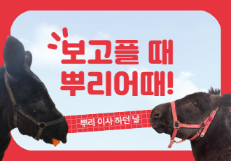 [보고플 때 뿌리어때!] 뿌리 이사하던 날