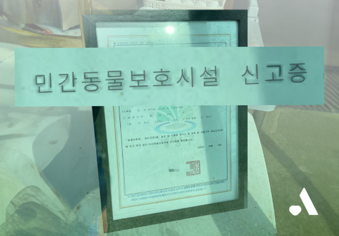 공식 보호소가 된 신종펫샵