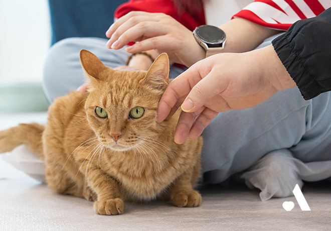 🐱2025 온캣 결연의 날 후기🐱