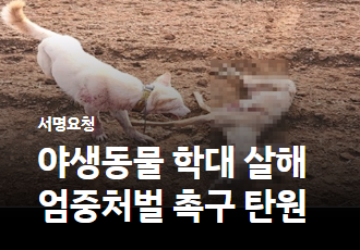 [탄원요청]160여 야생동물 잔혹 살해한 사건 엄중 처벌 촉구 