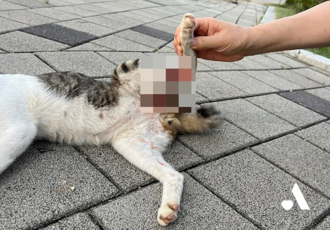 [쓰담쓰담] 친구들과 어울리지 못하고 메이