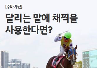 [주마가편] 달리는 말에 채찍을 사용한다면?! 