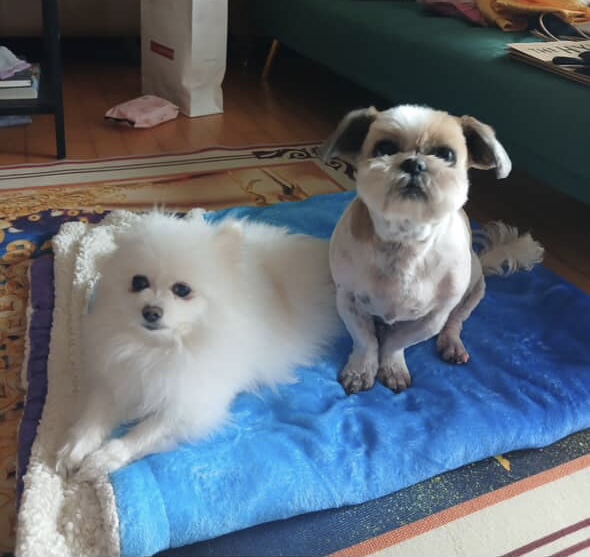 배우 노진욱 팬분의 후원