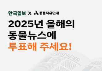 [동물자유연대X한국일보] 2025 올해의 동물뉴스에 투표해주세요!
