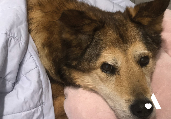 [건강소식] 봉선이의 건강소식을 전해드립니다.