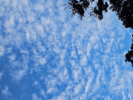 뮤지컬배우 김현기 팬분의 후원