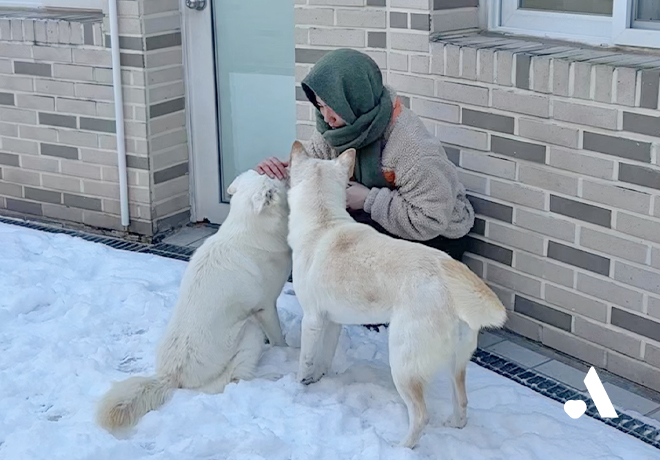 [오늘의온센터] 동물 보호소 눈 오는 날